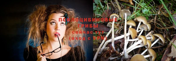 бошки Верея
