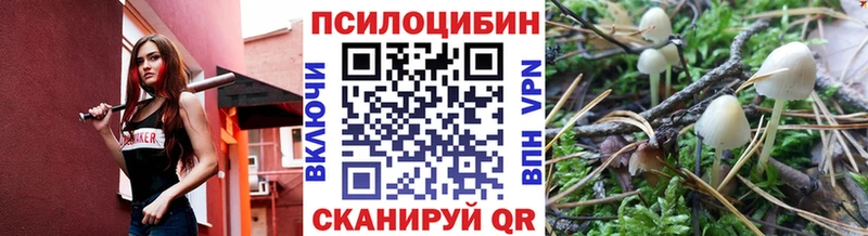 Псилоцибиновые грибы мицелий  Волгореченск 